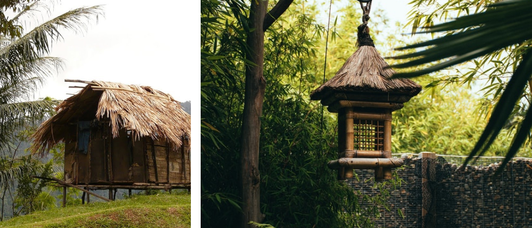 Bamboo nut and asian lantern