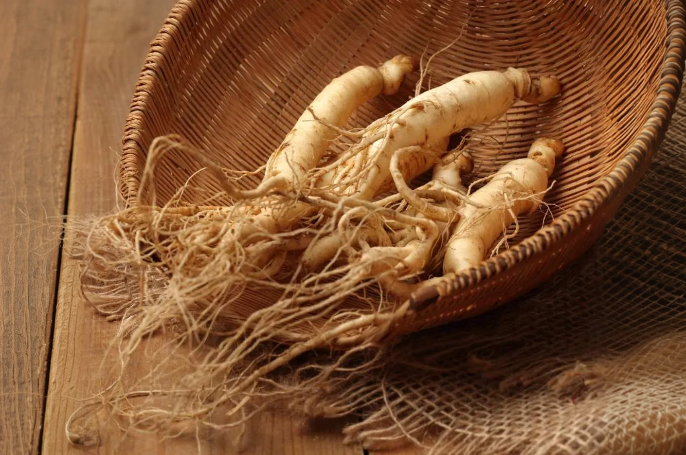 Ginseng roots in a basket