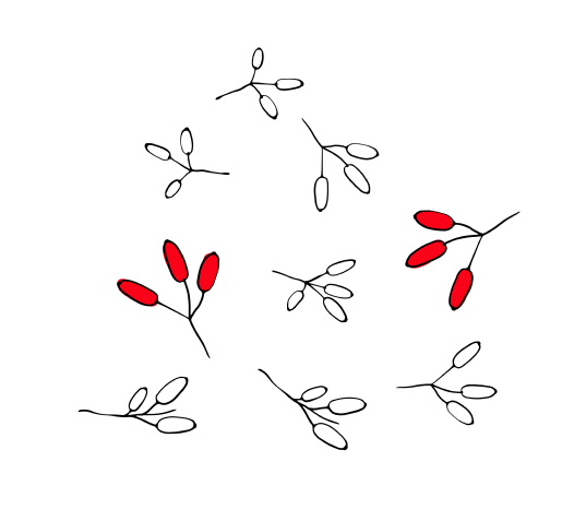 Goji berries line illustration