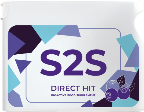 Project V product S2S