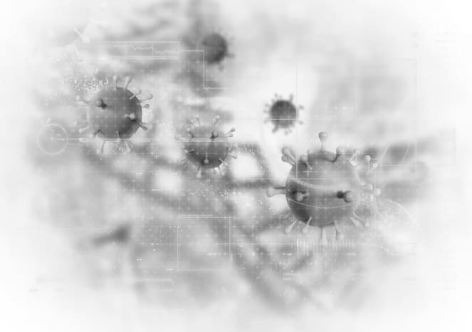 Virus cells
